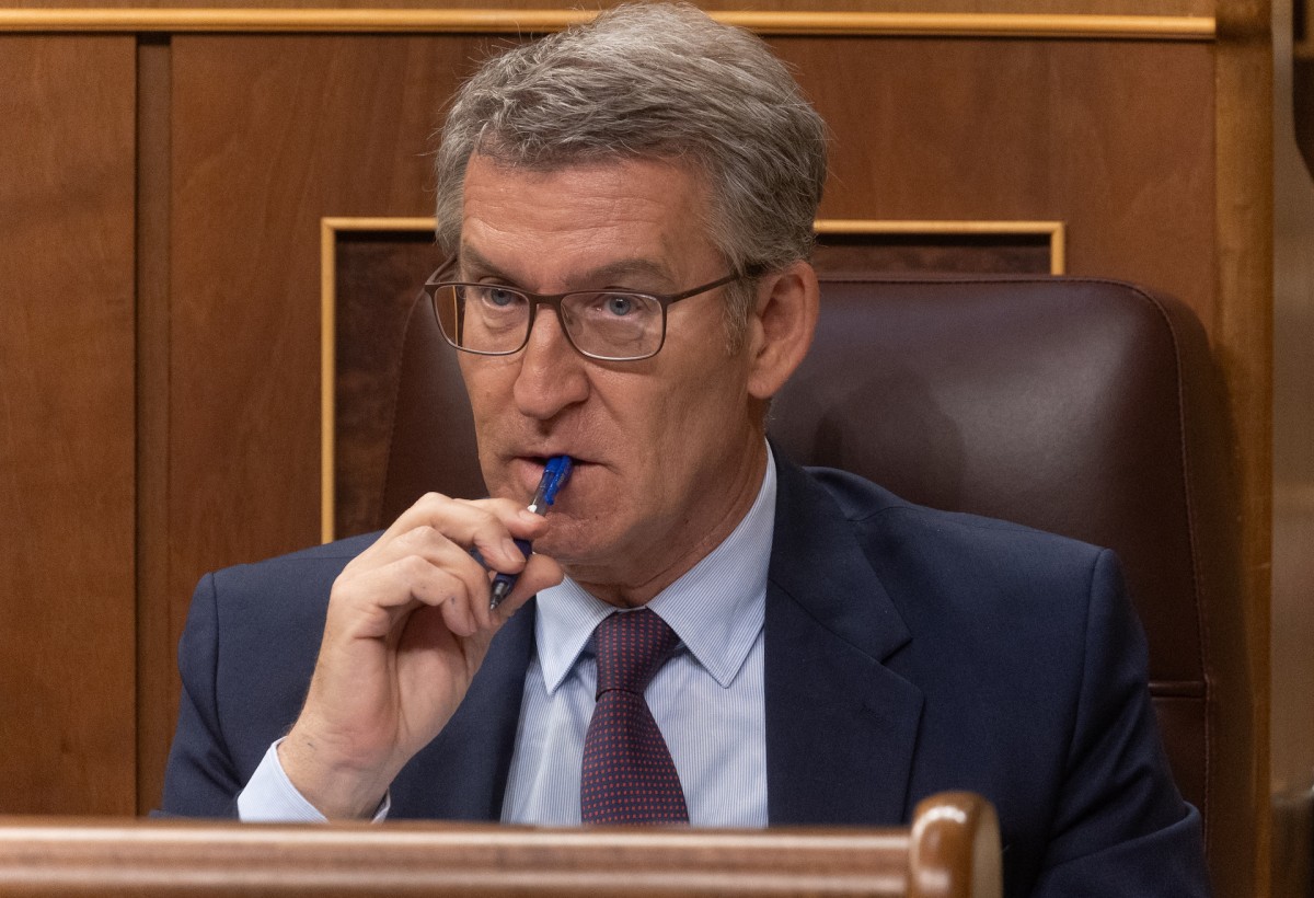 El presidente del PP, Alberto Núñez Feijóo, durante una sesión plenaria, en el Congreso de los Diputados.