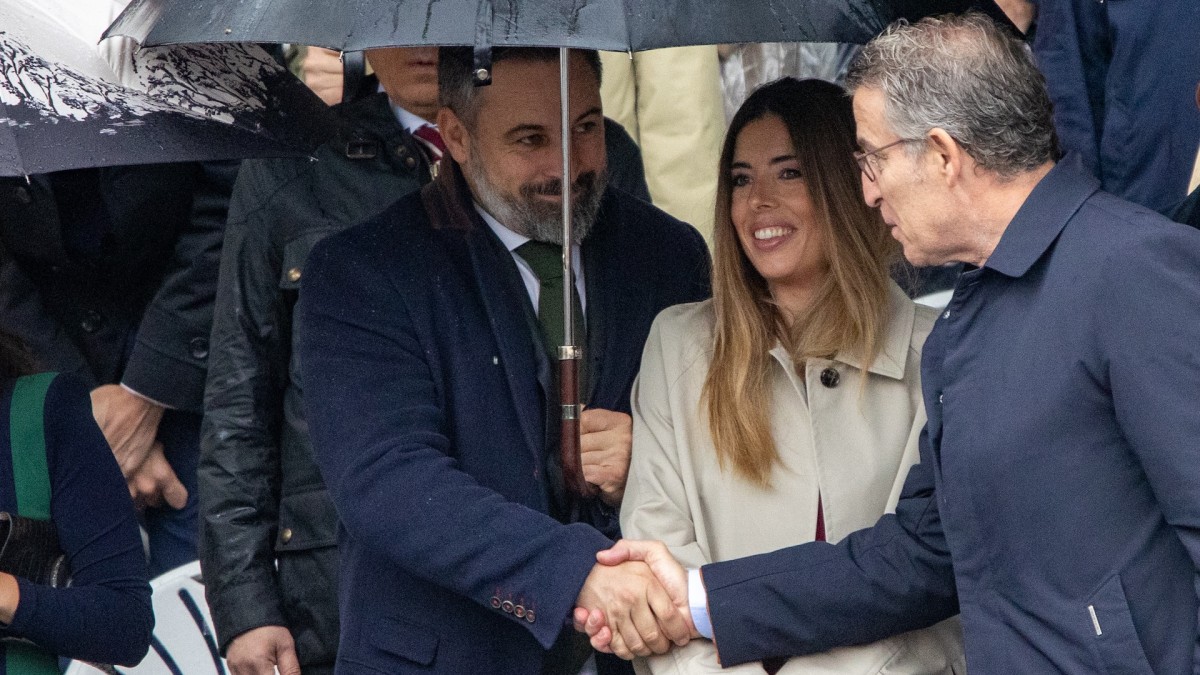 Alberto Núñez Feijóo saluda a Santiago Abascal durante el desfile militar del 12 de octubre de 2024.
