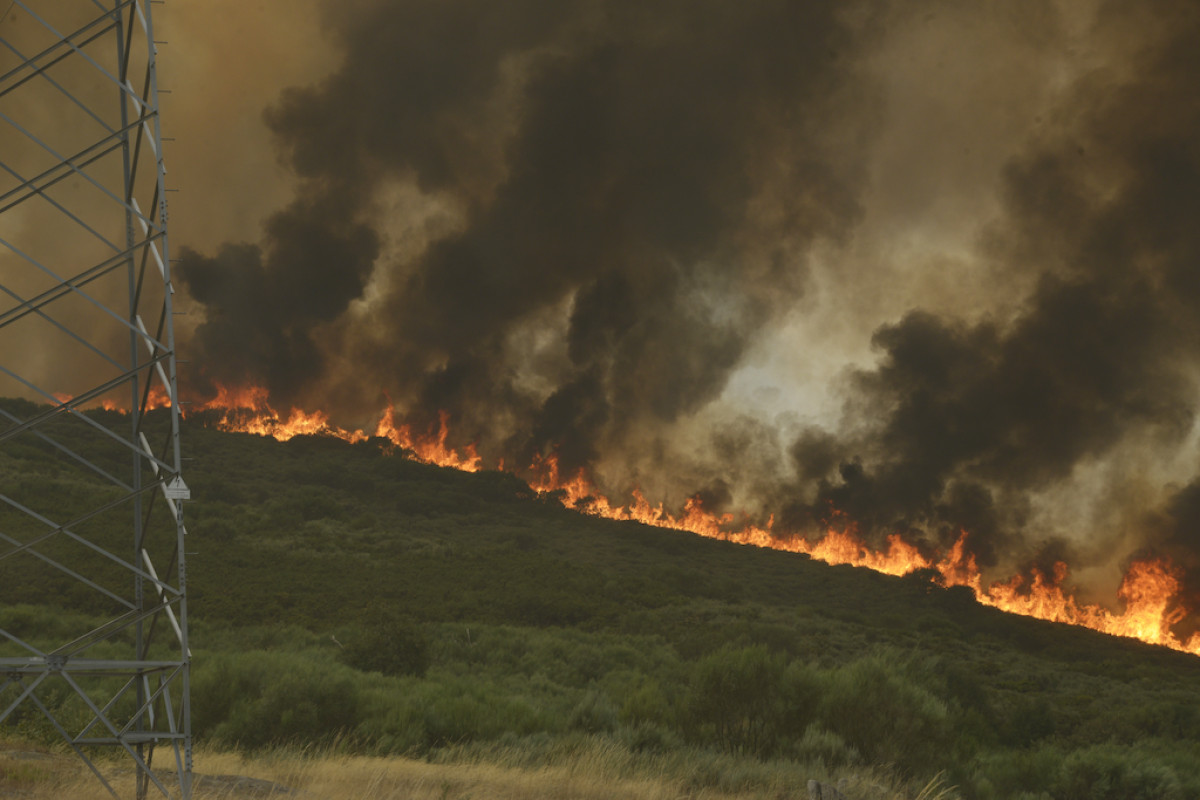 Confinan más de 30 municipios en Ourense por la evolución de los incendios forestales.