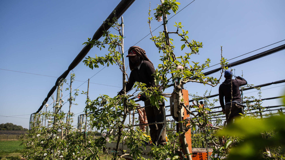 Temporeros en Girona.