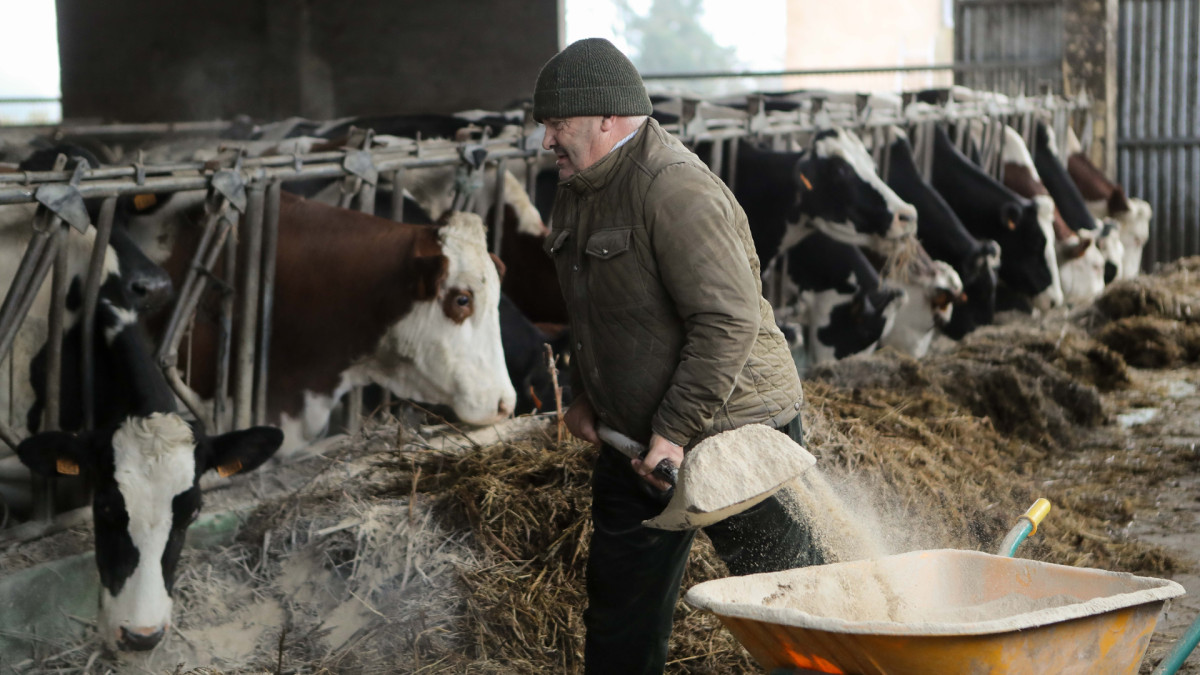 Ganaderos y agricultores son de los grupos más afectados por el vaciamiento rural de España.