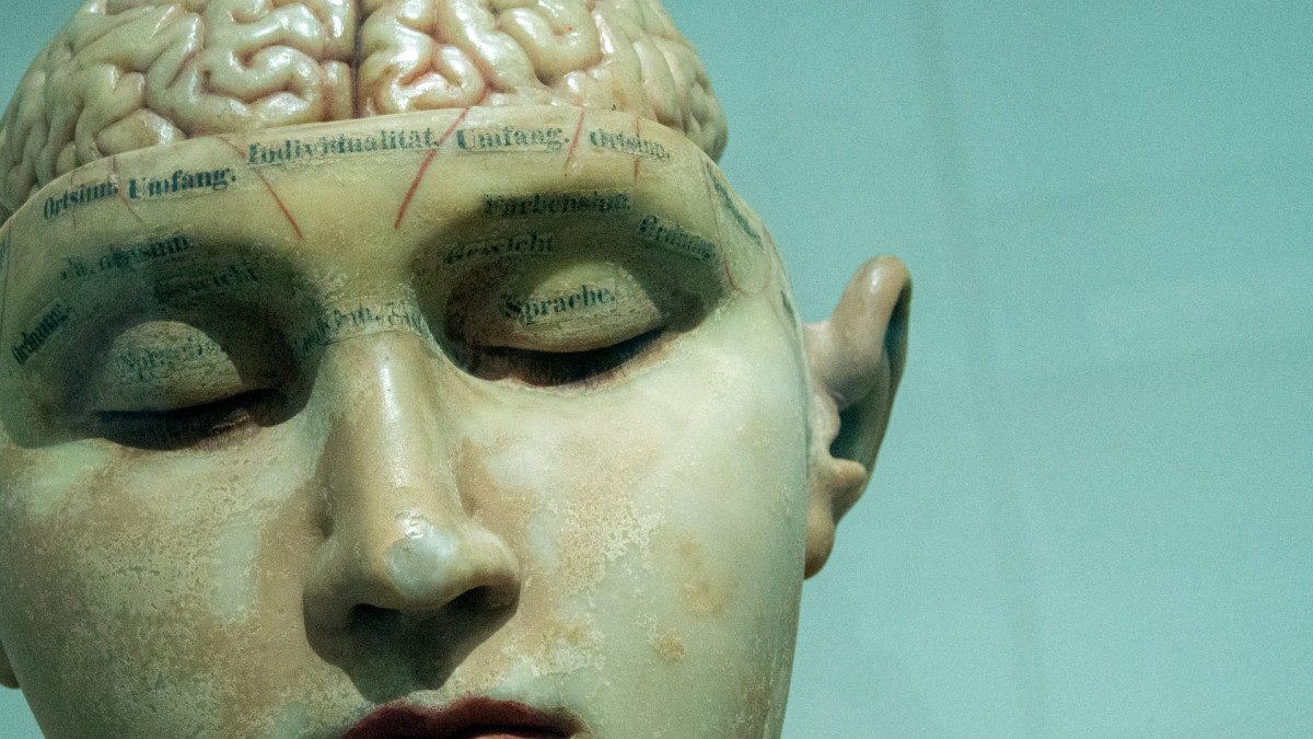 Según la RAE, el transhumanismo es un 