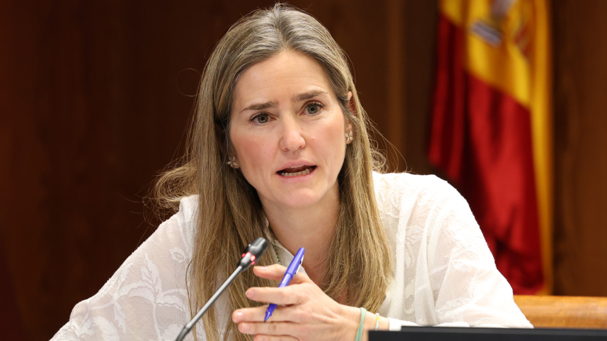 La ministra para la Transición Ecológica y el Reto Demográfico, Sara Aagesen, comparece ante la Comisión de Investigación sobre el apagón.