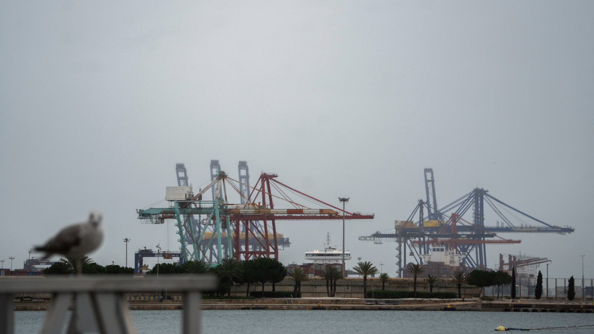 El puerto de València, que cuenta con una importante influencia de la empresa estatal china COSCO.