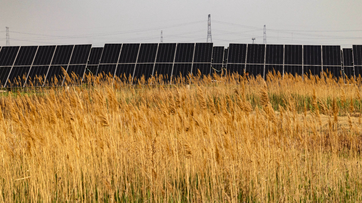 La expansión de políticas climáticas sostenibles ha ayudado a cambiar el diagnóstico científico sobre las emisiones.