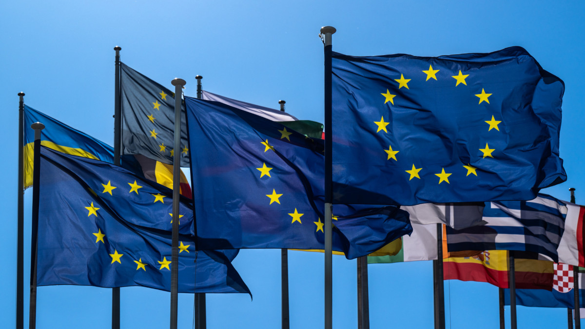 Banderas de la Unión Europea junto a la ucraniana y las de algunos Estados Miembros.
