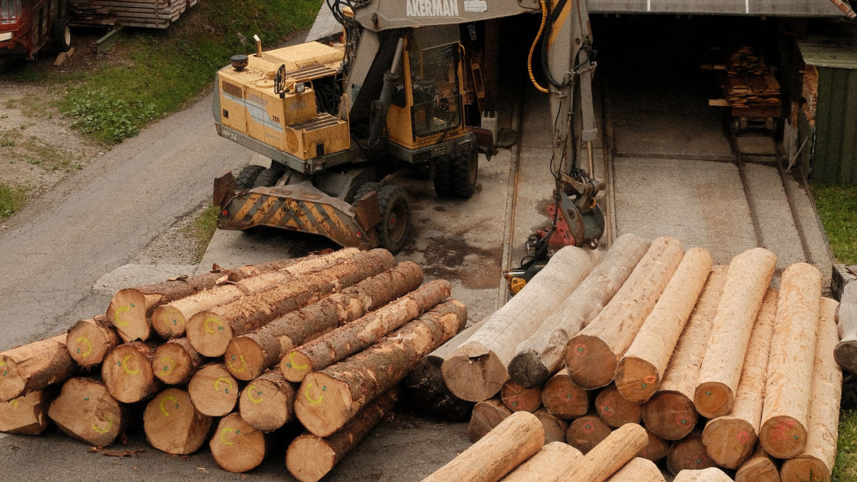 Troncos de madera almacenados junto a maquinaria en un aserradero. | Ilia Bronskiy / Pexels