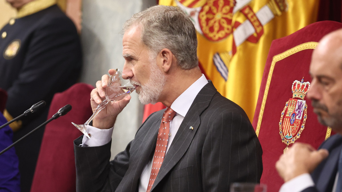 El rey Felipe VI durante el XII Foro Parlamentario Iberoamericano, en el Congreso de los Diputados.